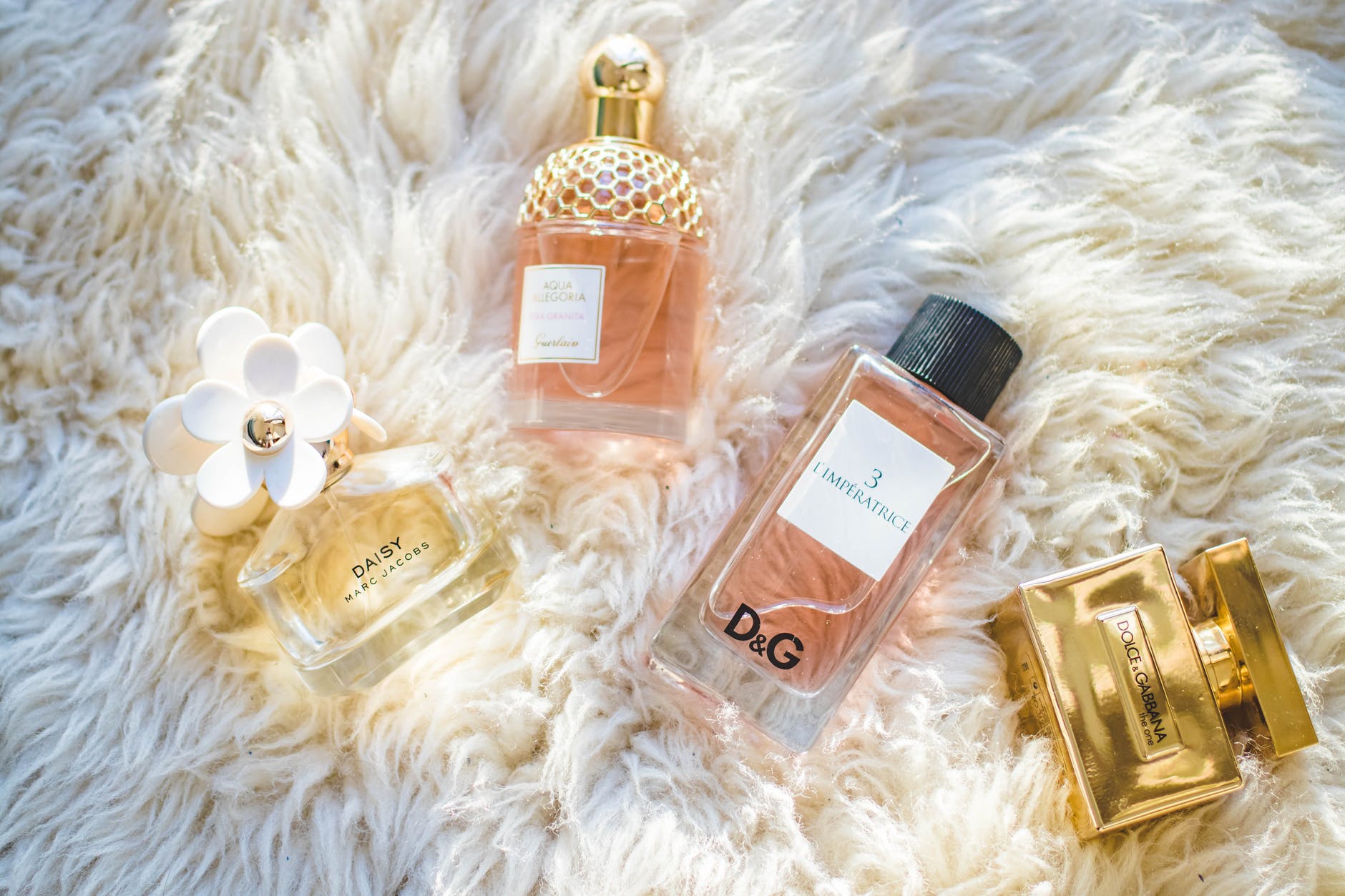 Poznaj najpiękniejsze perfumy szyprowe!