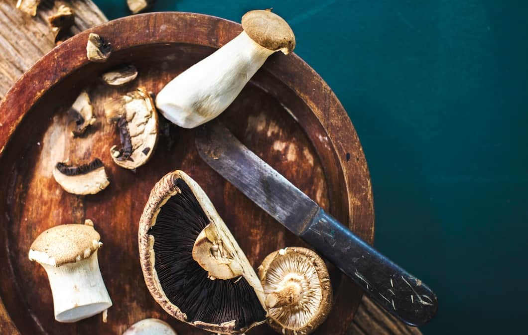 Jak adaptogenne proszki z grzybów mogą wspomagać twoje zdrowie?